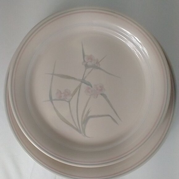 Vintage (5) Dinner & (6) Salad Plates by Corelle Corning Spring Pond Dinnerware - Picture 9 of 11